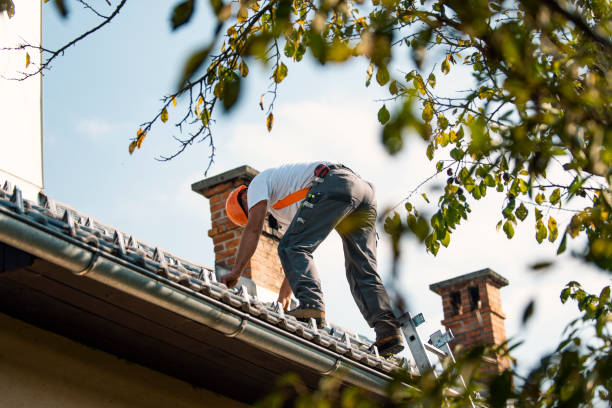 Best Commercial Roofing Services  in Hotchkiss, CO